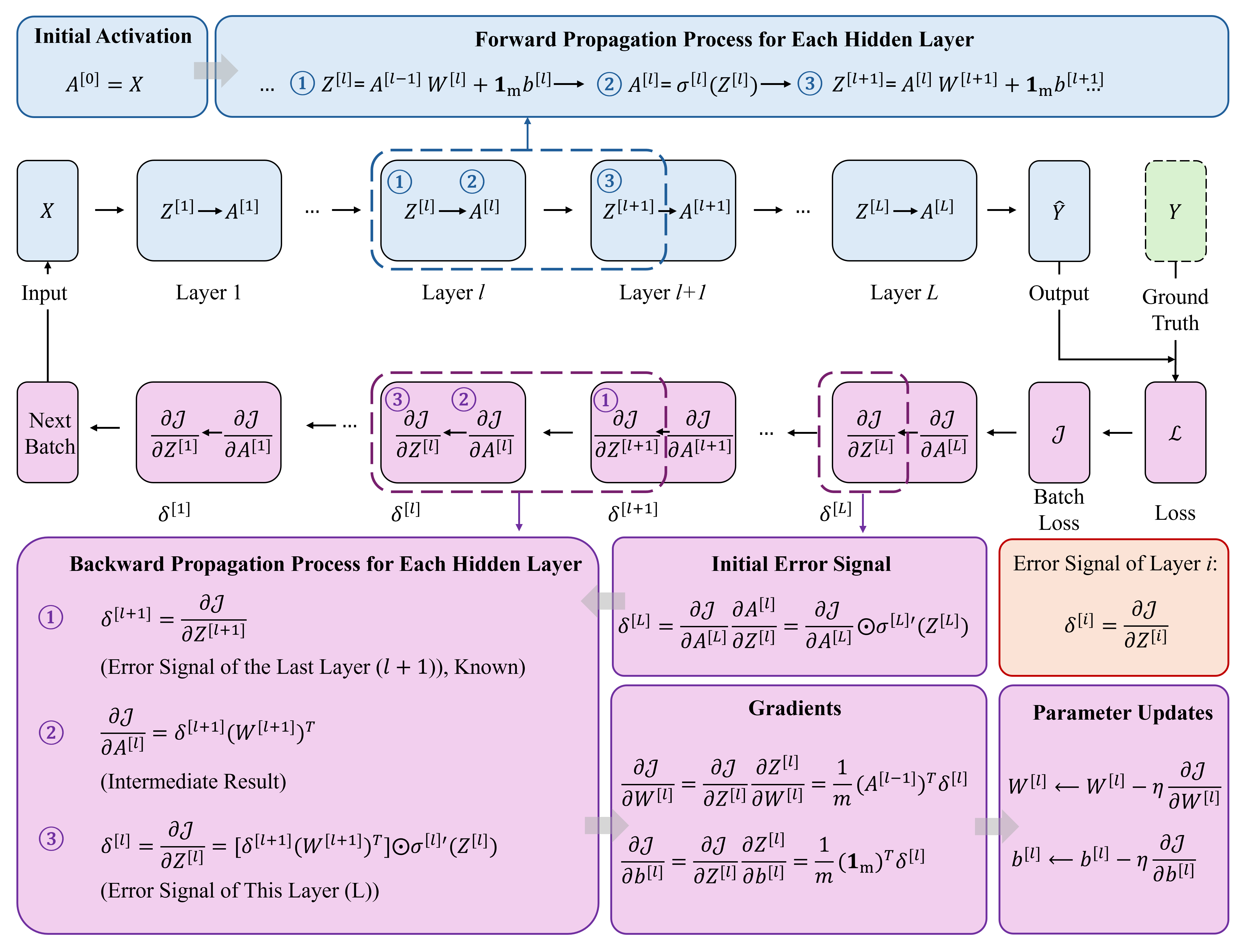 Forward & Backward Propagation
